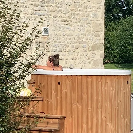 Bed & Breakfast Manoir De Cleronde - Blay
