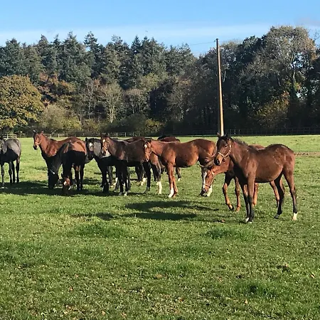 Frühstückspension Manoir De Cleronde -