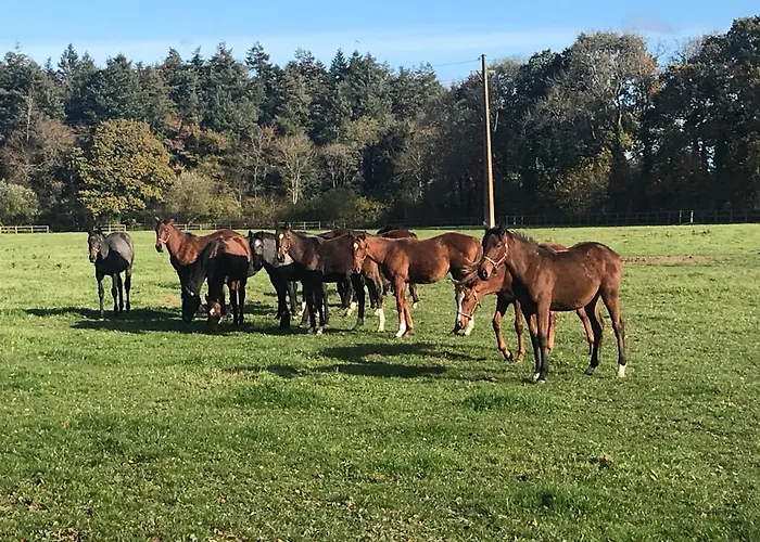 Bed & Breakfast Manoir De Cleronde -