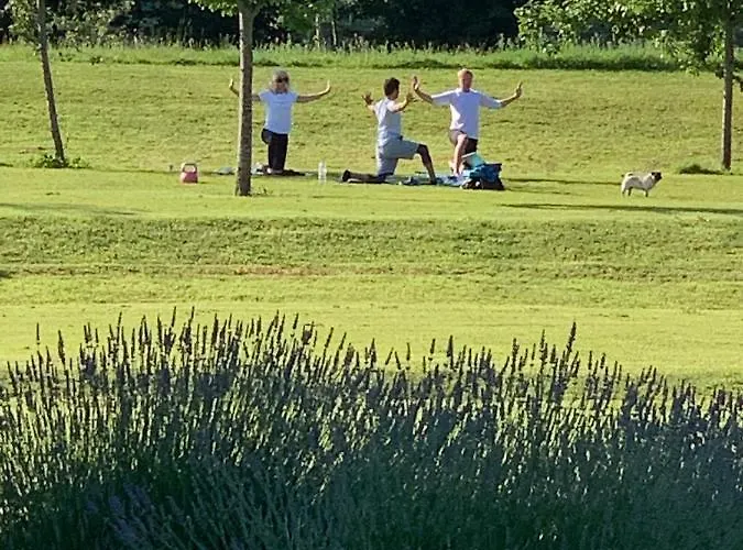 Manoir De Cleronde - 5* Blay